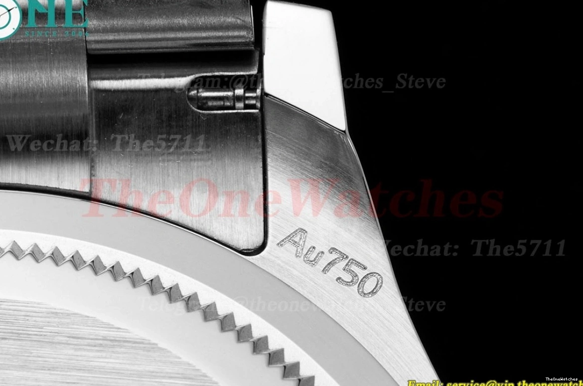 SH4131(Gain SS QF Weight) Dia 40mm 126509 Daytona Black SS 0207